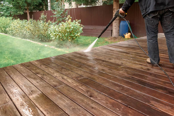 Animal Enclosure Cleaning in Upper Nyack, NY